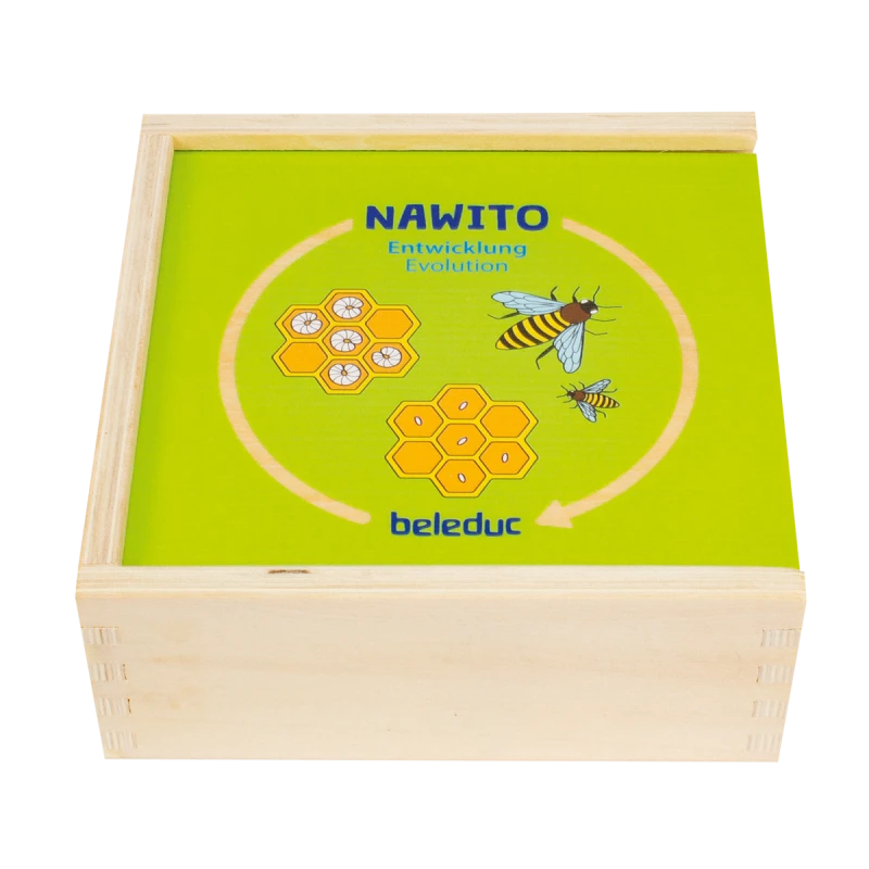 Beleduc Nawito Vývojový proces