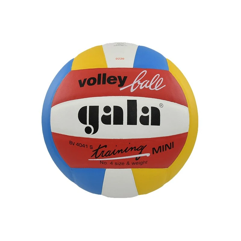 Volejbalový míč GALA Training Mini Color BV4041S – velikost 4